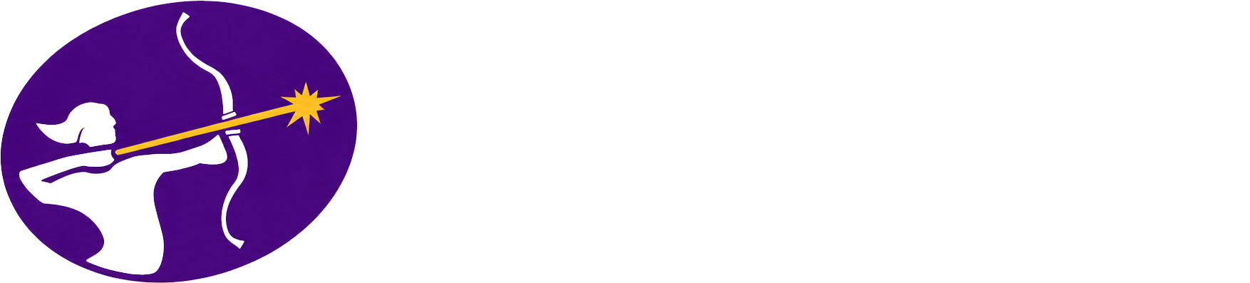 Ready Aim Innovate
